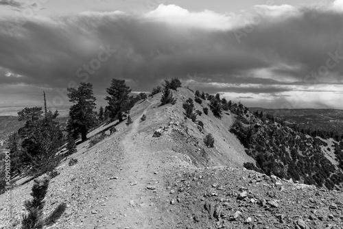 Black and white view of sum...