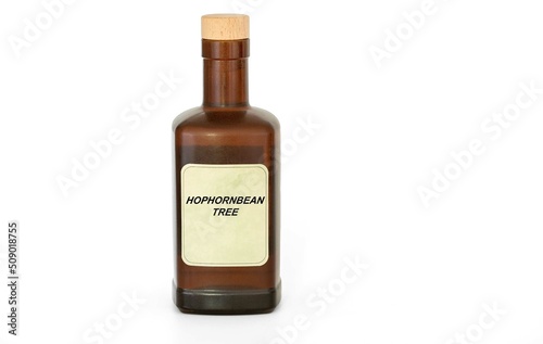 Herbal tincture in a antique retro bottle. Herbs medical solution of Hophornbean Tree