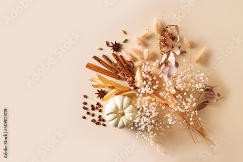 Ingredients for pumpkins spice latte with dry flowers on beige background