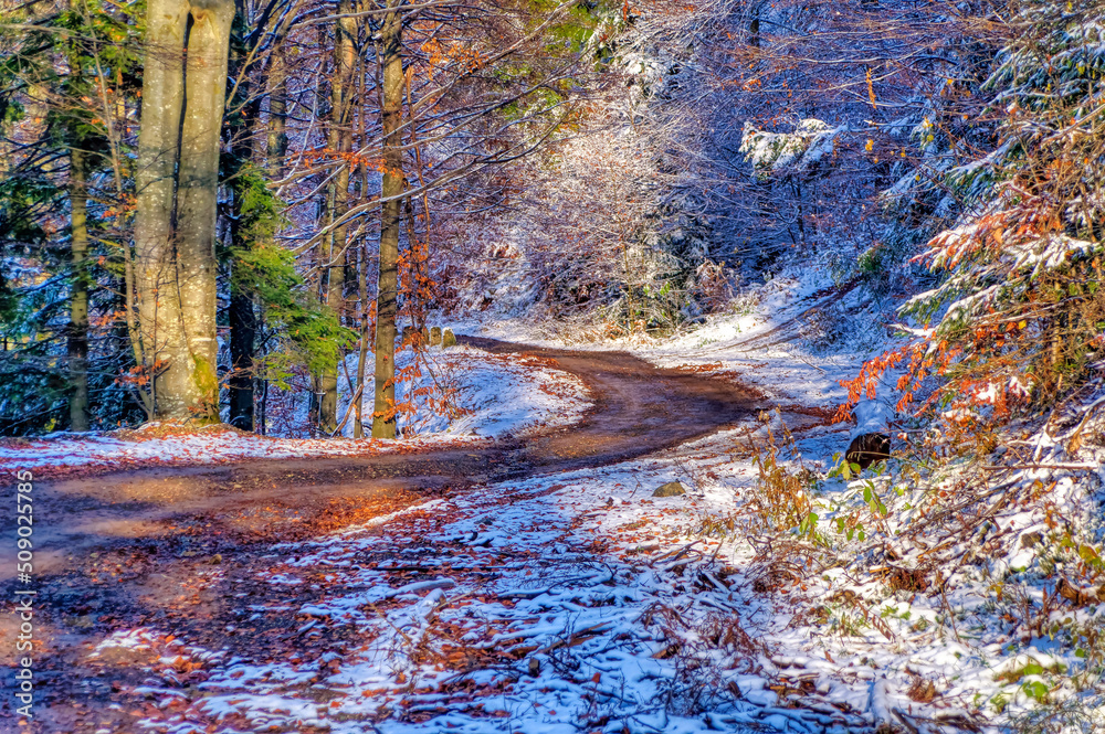 Natural landscape during cold winter day.