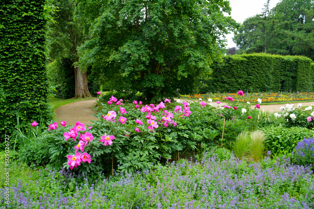 Botanischer Garten in Gütersloh im Juni, Park Botanischer Garten in Gütersloh im Juni, Park