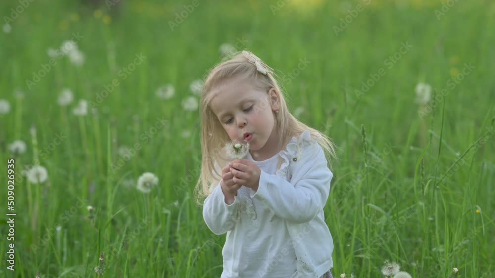 Happy cute little girl in a green garden blowing on a dandelion. children emotions. Happy cute little girl in a green garden blowing on a dandelion. children emotions.