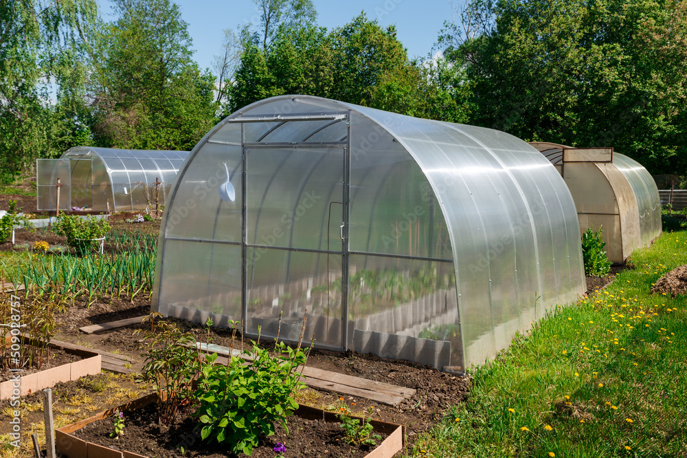 greenhouse in the garden. polycarbonate greenhouses in the garden. greenhouse in the garden. polycarbonate greenhouses in the garden.