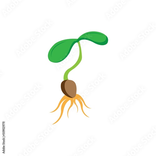 sprouts icon logo vector design