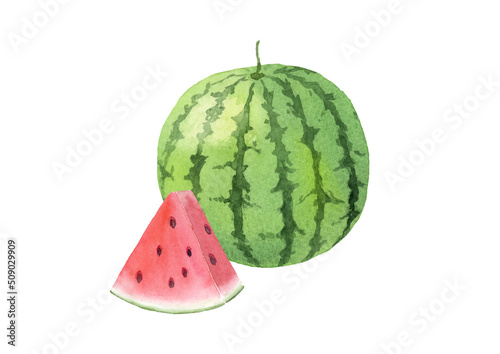 Watercolor illustration of watermelon