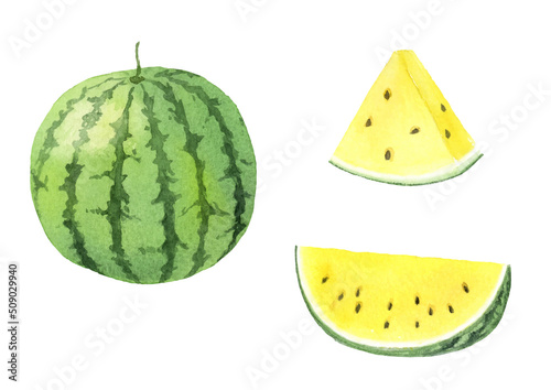 Watercolor illustration of yellow watermelon set