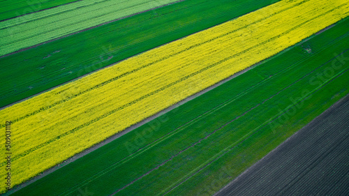 field of different crops, shooting from a drone