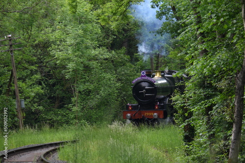 the lady of legend passint though the wyre forest photo