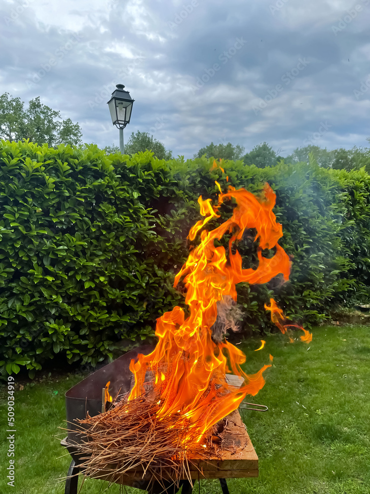 En soirée au jardin