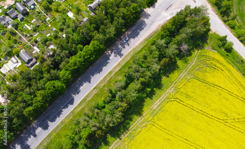 Aerial view of a rural road with fields of rapeseed and wheat Aerial view of a rural road with fields of rapeseed and wheat
