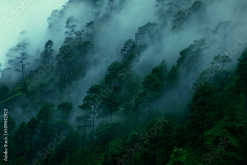 misty mountains