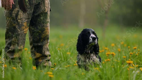 A hunting dog that is drenched in morning dew sits next to a hunter. The hunter gives the command to run against the background of the autumn misty field photo
