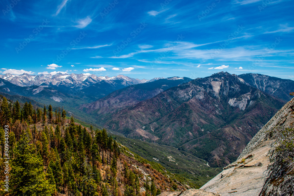 Fototapeta premium Moro Rock Sequoia National Park