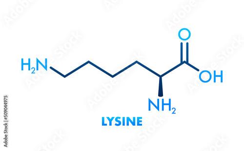 Lysine formula, great design for any purposes. Essential Amino Acid simple skeletal formula. photo
