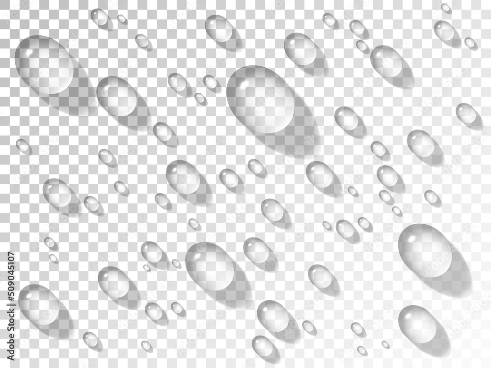 Water drops. Realistic droplets on transparent background. Bubbles with shadow on glass. Wet window effect. Rain or shower concept. Pure dew drops. Vector illustration