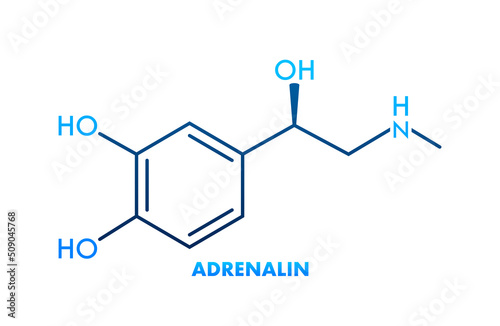 Adrenaline or adrenalin, epinephrine neurotransmitter molecule. Skeletal formula.Vector illustration