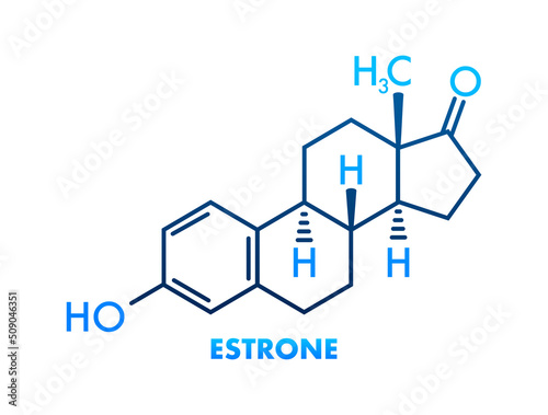 Estrone formula. Estrogens vector chemical formulas. Vector illustration