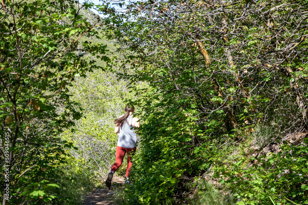 Obraz premium trail running