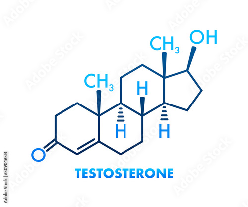 Testosterone formula. Vector thin line icon of testosterone molecular structure