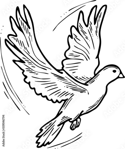 Fototapeta Naklejka Na Ścianę i Meble -  White dove is symbol of peace, hope, love in the world. Flying pigeon like holy spirit brings freedom, joy, grace. Hand drawn retro vintage vector illustration. Old style comics cartoon line drawing.