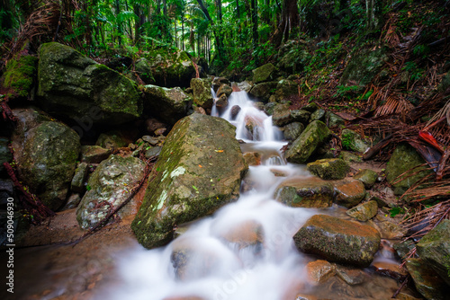 waterfall in Gondwana world heritage listed rainforest photo