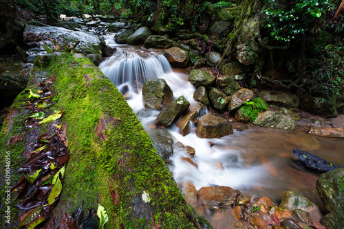 waterfall in Gondwana world heritage listed rainforest photo
