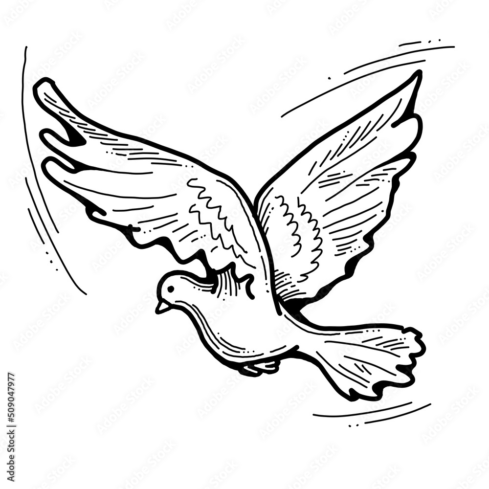 Fototapeta premium White dove is symbol of peace, hope, love in the world. Flying pigeon like holy spirit brings freedom, joy, grace. Hand drawn retro vintage illustration. Old style comics cartoon line drawing.