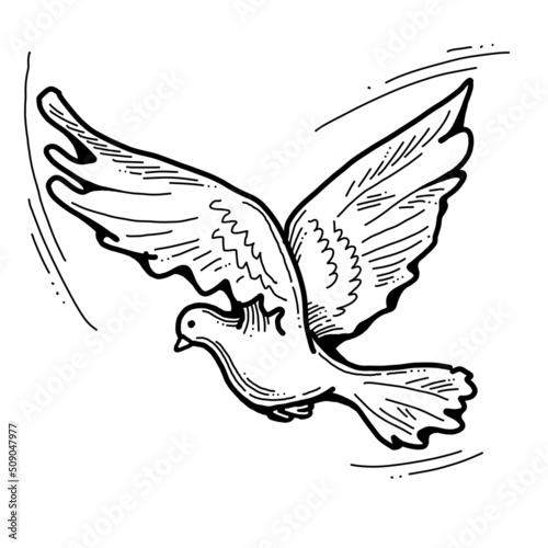 White dove is symbol of peace  hope  love in the world. Flying pigeon like holy spirit brings freedom  joy  grace. Hand drawn retro vintage illustration. Old style comics cartoon line drawing.