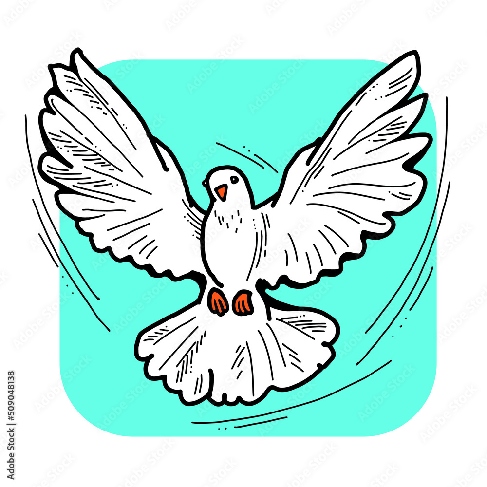 Fototapeta premium White dove is symbol of peace, hope, love in the world. Flying pigeon like holy spirit brings freedom, joy, grace. Hand drawn retro vintage illustration. Old style comics cartoon line drawing.