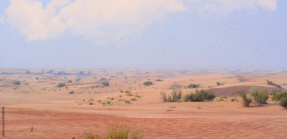 Desert landscape. Beautiful wavy sands, dunes and desert plants.