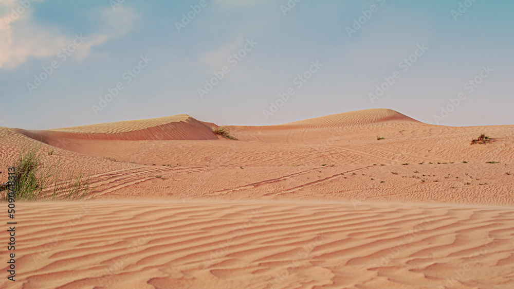 Desert landscape. Beautiful wavy sands and dunes.