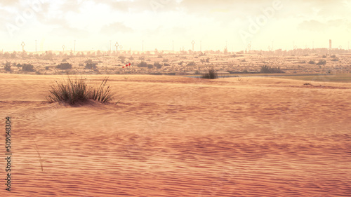 Desert landscape. Beautiful wavy sands, dunes and desert plants.