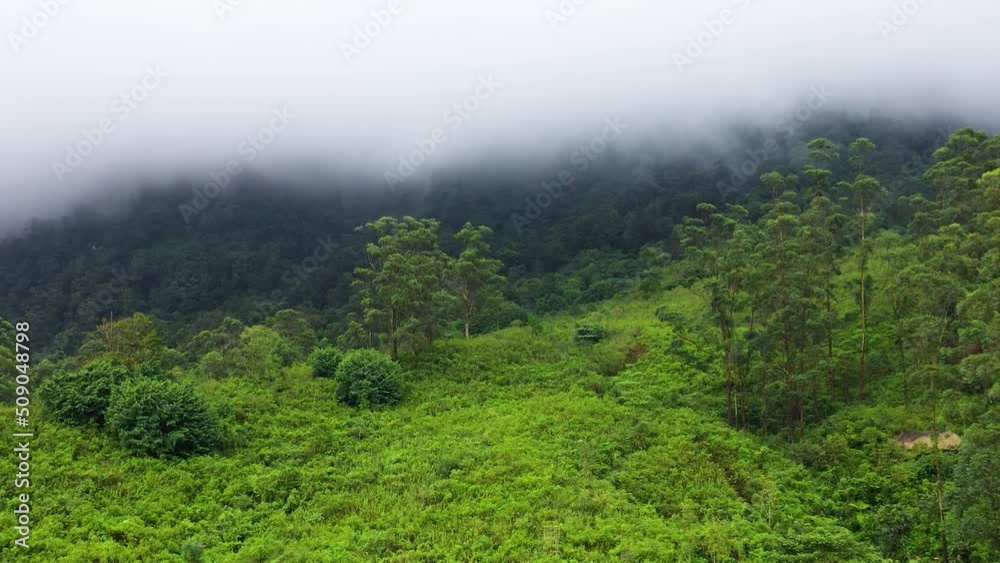 Tea plantations and agricultural land among the rainforest in the mountains. Sri Lanka. Tea plantations and agricultural land among the rainforest in the mountains. Sri Lanka.