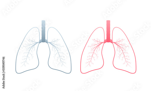 Lungs, great design for any purposes. Cartoon illustration. Simple vector illustration