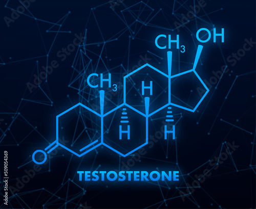 Testosterone formula. Vector thin line icon of testosterone molecular structure photo