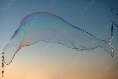 Flying soap bubbles on sky blue background at sunset.