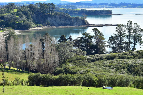 Farmland and cliffs surrounding Scandretts and Goldsworthy bays. Location: Mahurangi East New Zealand photo