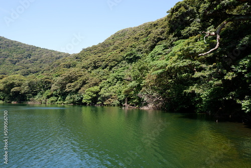 三宅島（Miyake Island） 大路池（Tairo-ike）