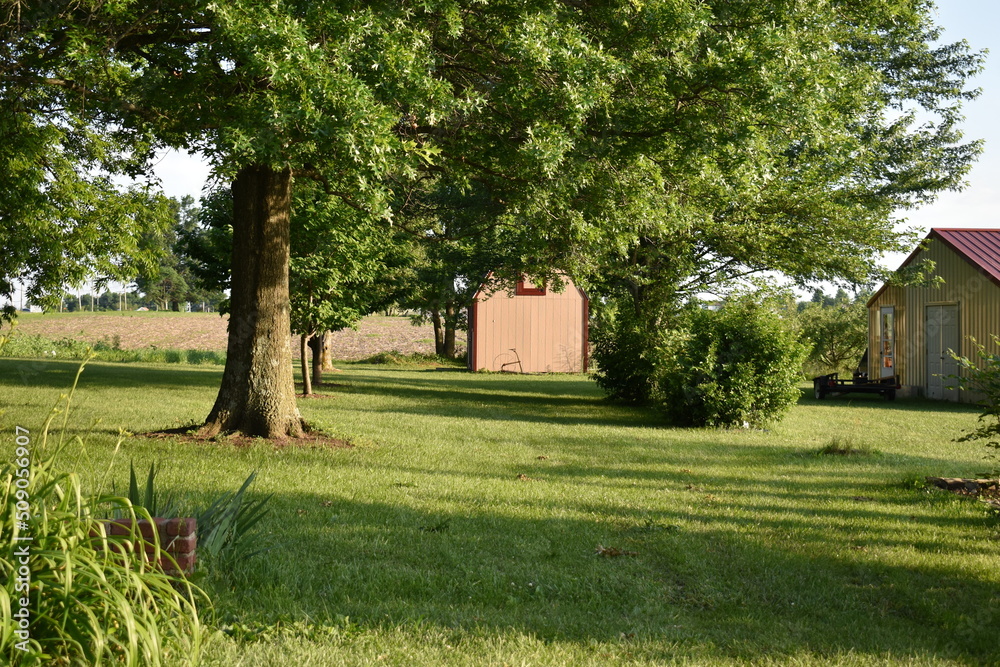 Yard Yard