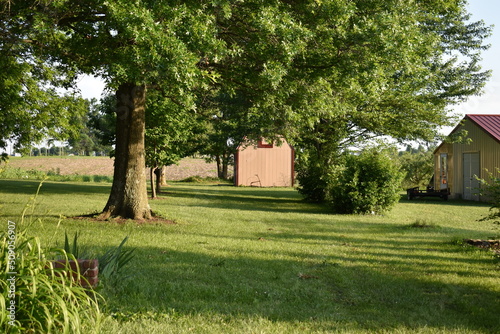 Yard