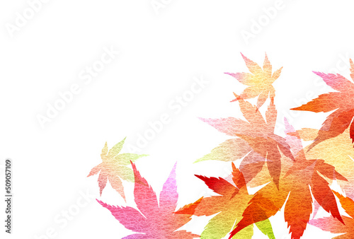 紅葉　もみじ　葉　背景