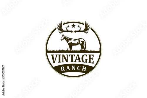 Vintage ranch logo horse moose horn circle shape emblem badge design style