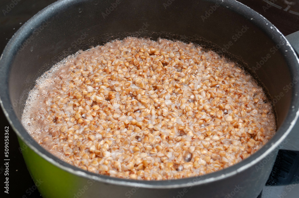 Photograph of some chickpeas soaking in a pressure cooker Photograph of some chickpeas soaking in a pressure cooker