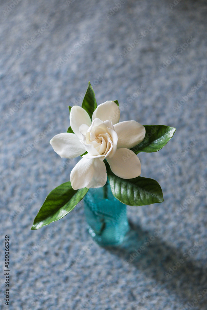 Fototapeta premium 花