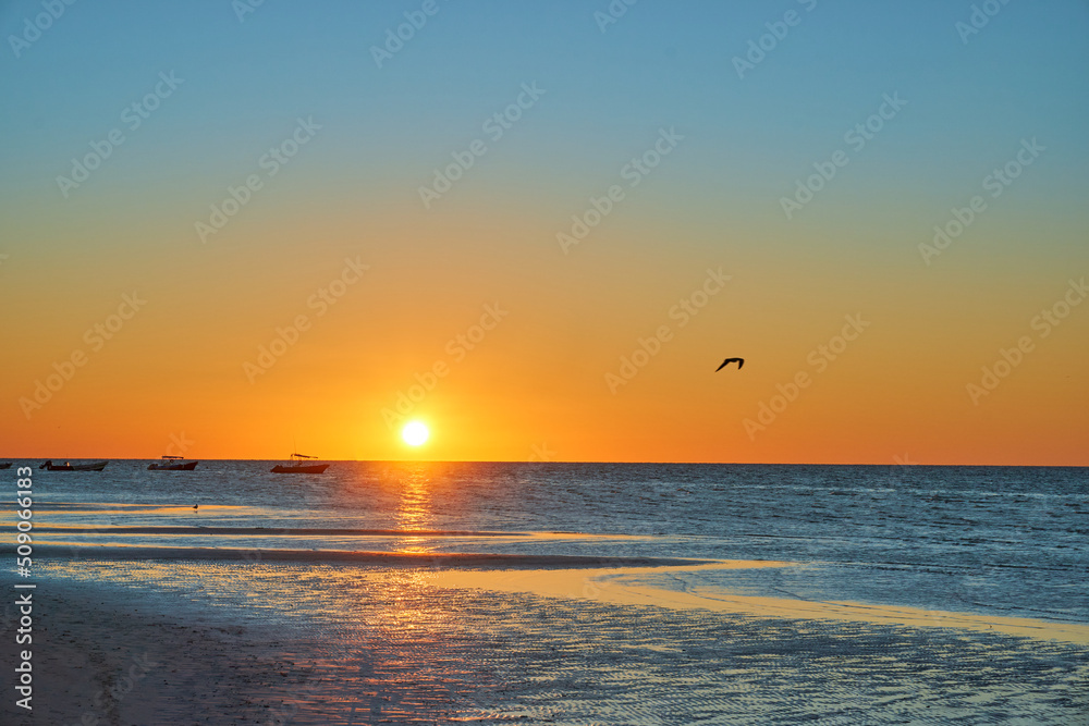 sunset (Golden hour) on the beaches of riviera maya, holbox. stunning orange teal sky with a seagull flying overhead. copy space.