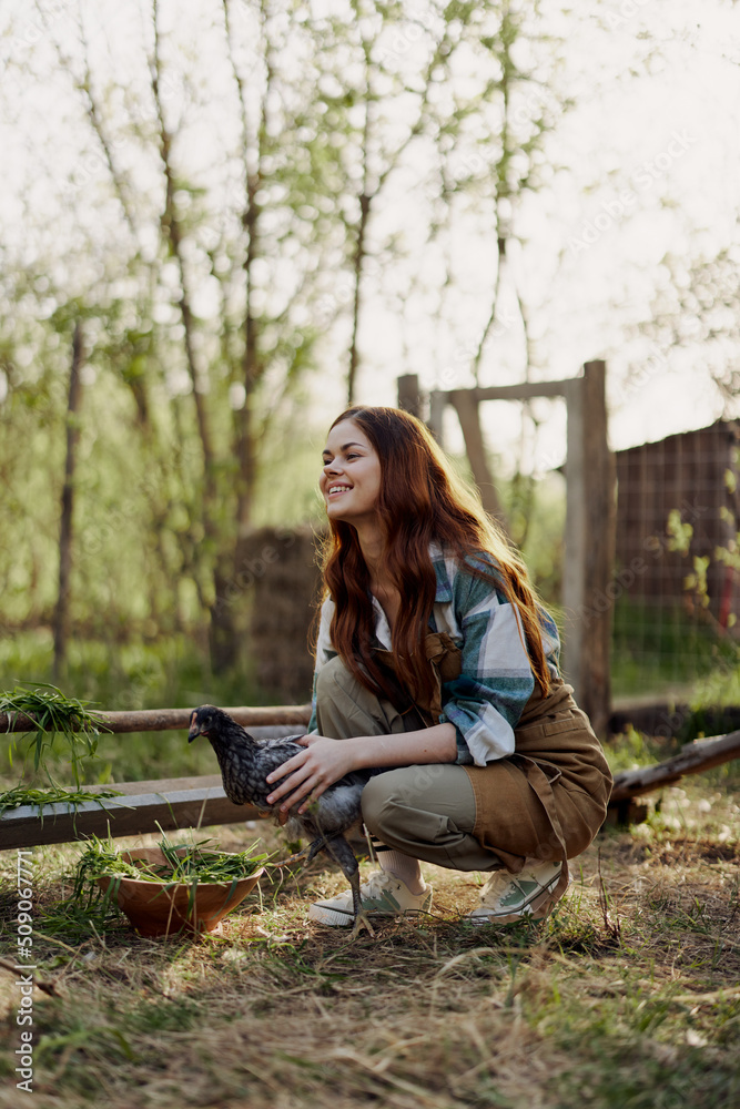 Happy woman farmer works at her country house in the chicken pen and examines them to check the health of young chickens Happy woman farmer works at her country house in the chicken pen and examines them to check the health of young chickens