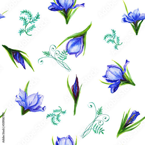 Watercolor pattern seamless bouquets of iris flowers , the petals are blue viol flower, iris, shades with green stems. Suitable for the design of greeting cards, invitations,wedding and baby