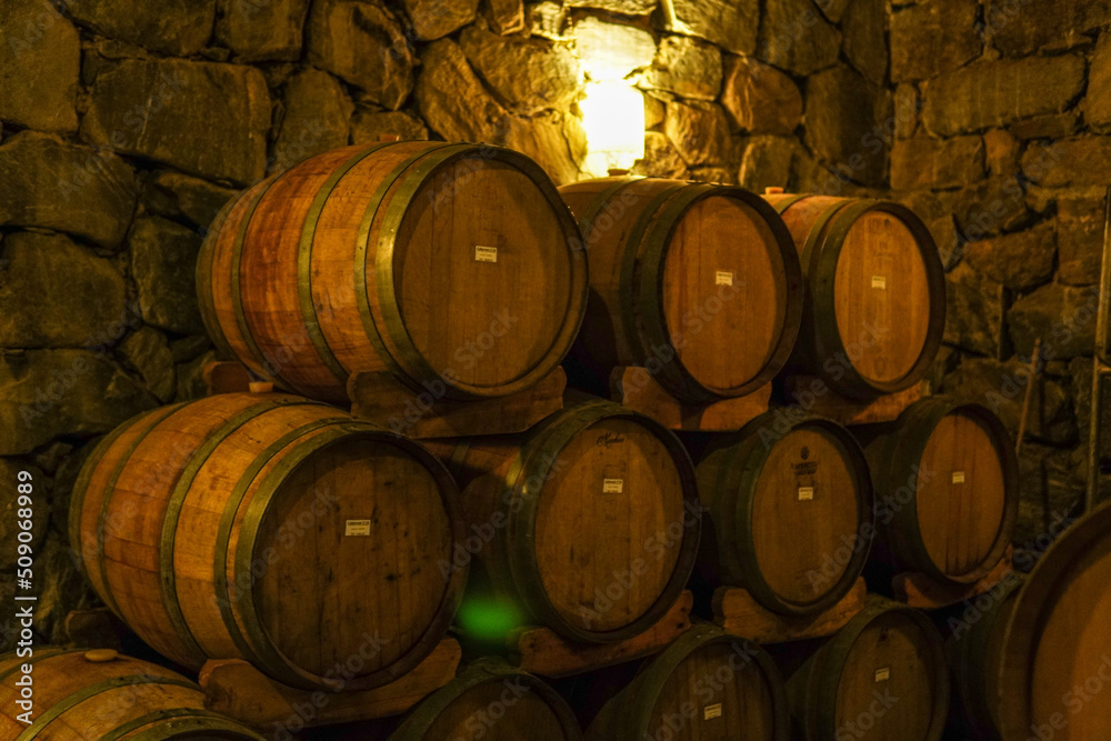 Wooden barrels containing wine in a cellar