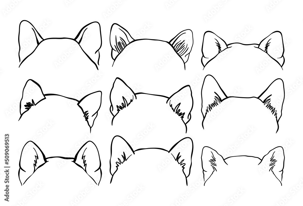 Shiba Inu dog ears. Outline illustration isolated on a white
