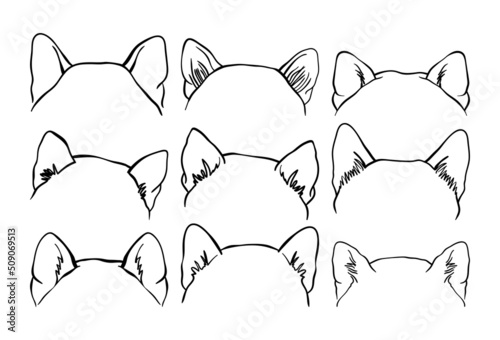 Shiba Inu dog, ears. Outline illustration isolated on a white background.